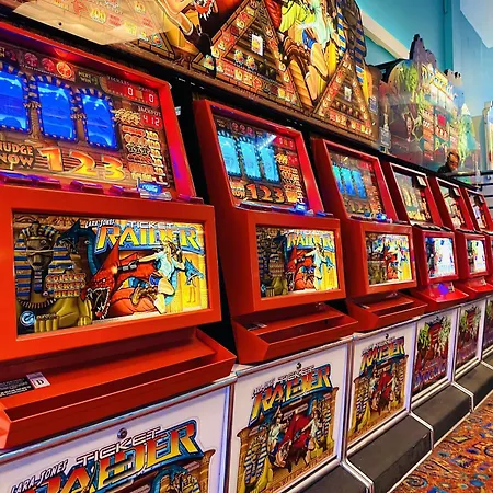 Cosy Corner 캠프장