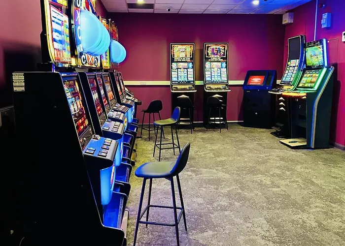 캠프장 Cosy Corner 파일리